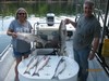 (07/02/2017) - Nice Striped Bass